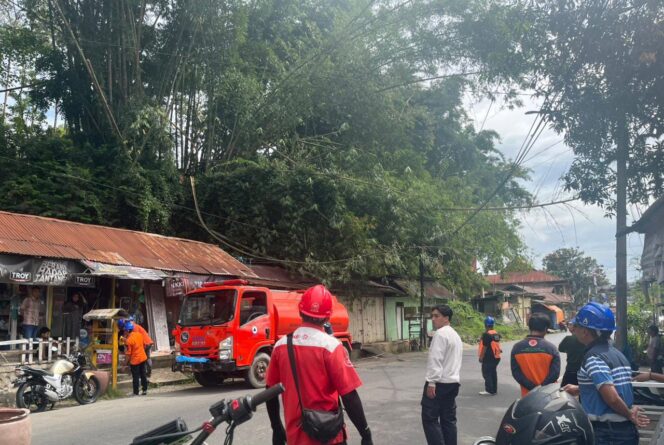 
					Pemkab Tator Pangkas Pohon Rawan Tumbang di Poros Terminal Makale