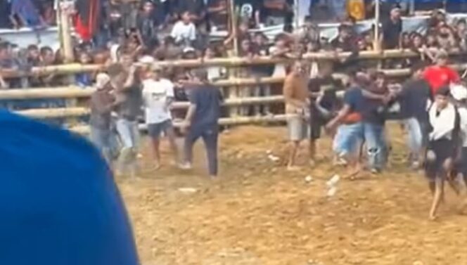 
					Diduga Kalah Taruhan, Warga Baku Pukul di Acara Adu Kerbau di Sa’dan Toraja Utara