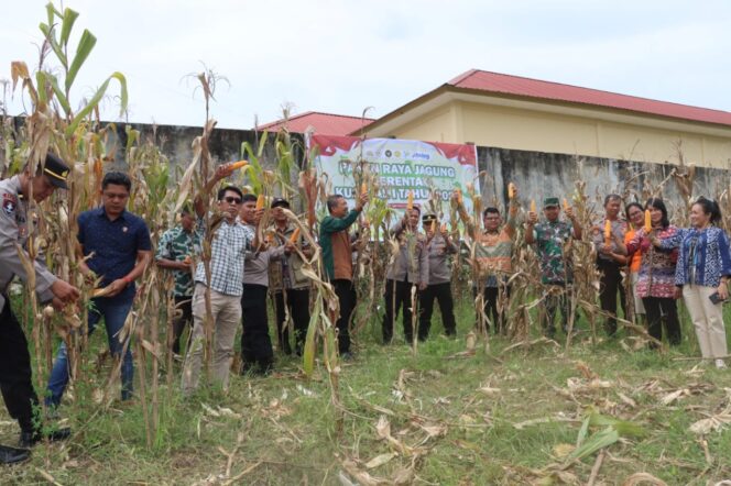
					Polres Toraja Utara Gelar Panen Raya Jagung Serentak Kuartal I Tahun 2026 Dukung Swasembada Pangan